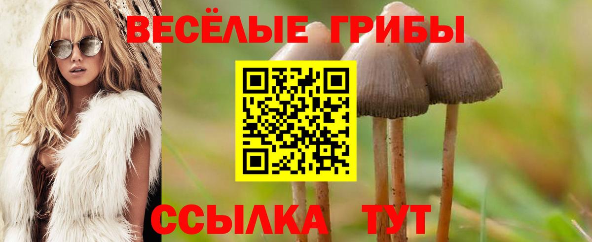 Тольятти  Псилоцибиновые грибы MAGIC MUSHROOMS  Галлюциногенные грибы Magic Shrooms  Вход с VPN 