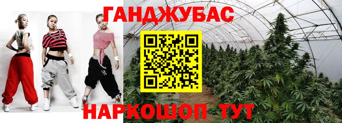 Каннабис сатива Тольятти